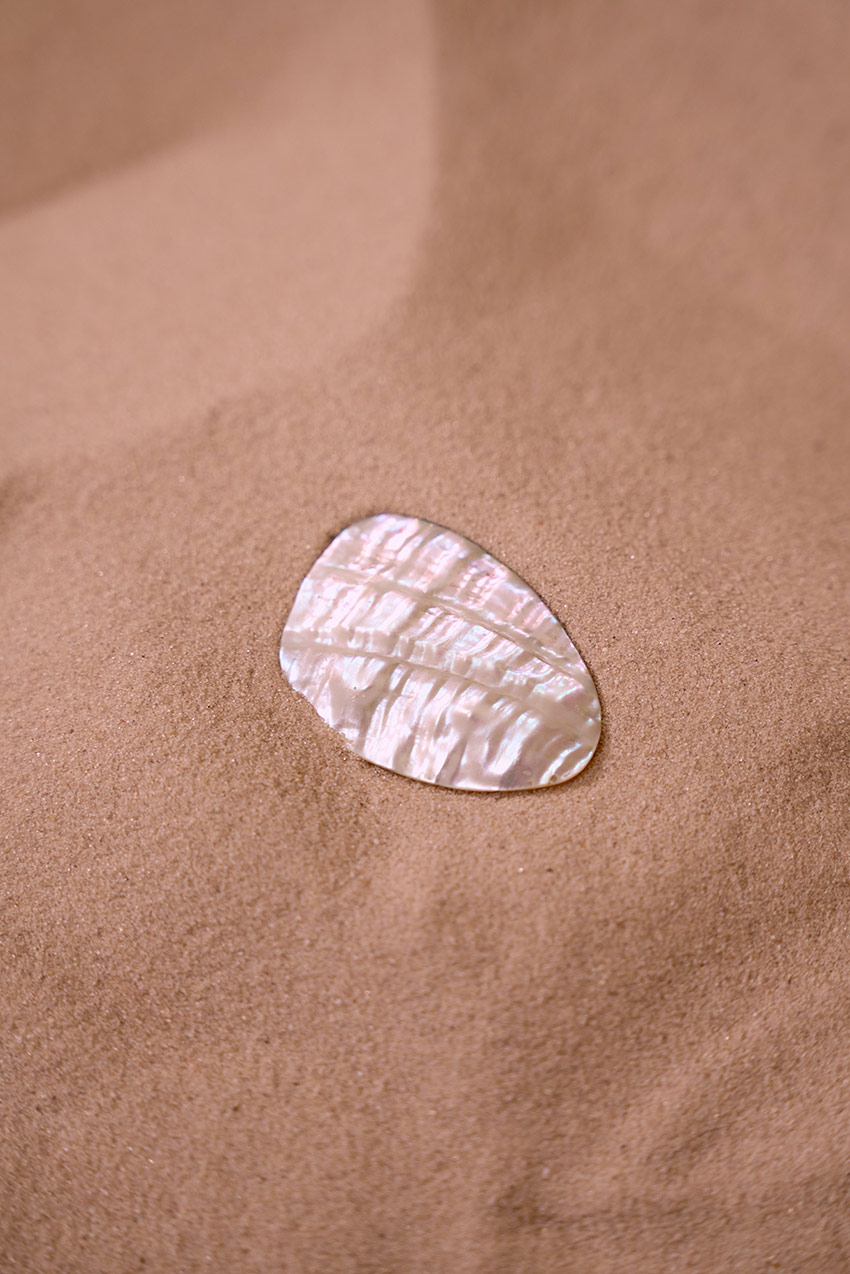 beach-brown_4
